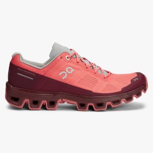 Rose On Cloudventure 2 | SN-ON28751